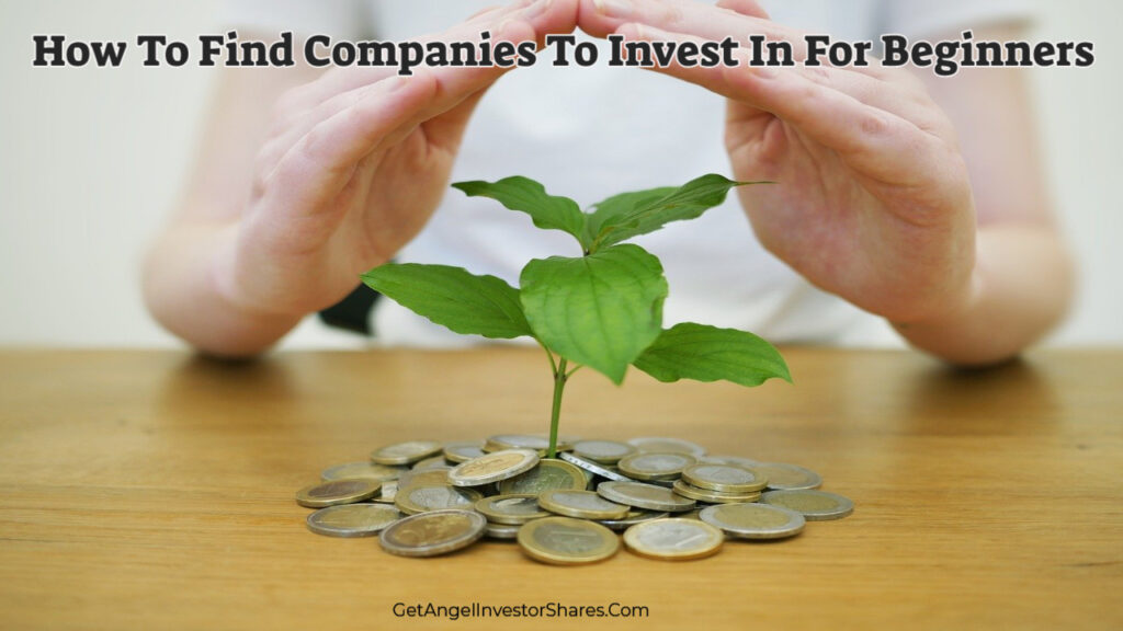 How To Find Companies To Invest In For Beginners