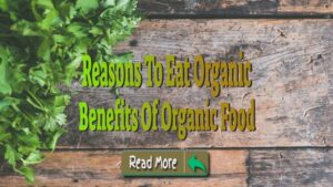 Benefits Of Organic Food – Reasons To Eat Organic