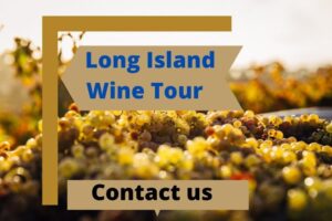 Long Island Wine Tour – Choose An Appropriate Family Tour