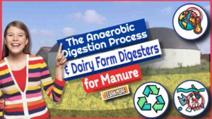 Dairy Farm Digesters – Anaerobic Digestion Process For Manure