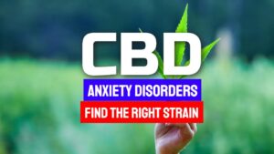 Too Busy for a Wellness Routine? CBD from Hemp Can Help