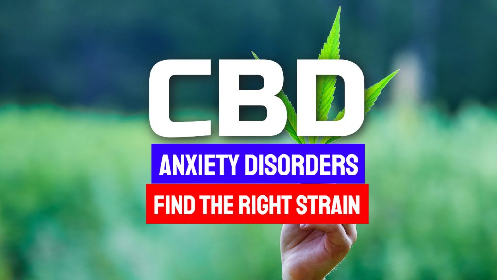 Too Busy for a Wellness Routine? CBD from Hemp Can Help
