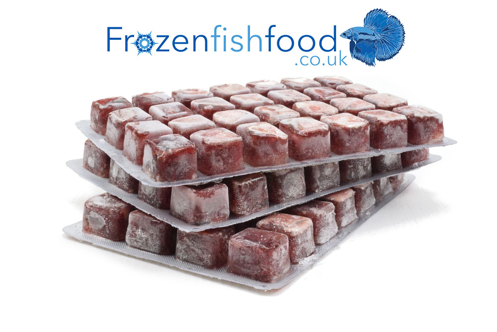 https://www.frozenfishfood.co.uk/products/frozen-bloodworms/