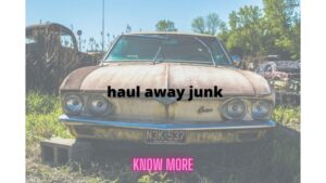 Who in Brandon, Florida Will Haul My Junk For Free?