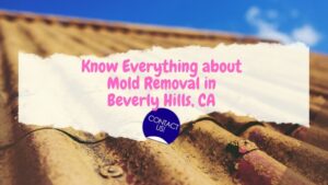 Know Everything About Mold Removal Beverly Hills, CA