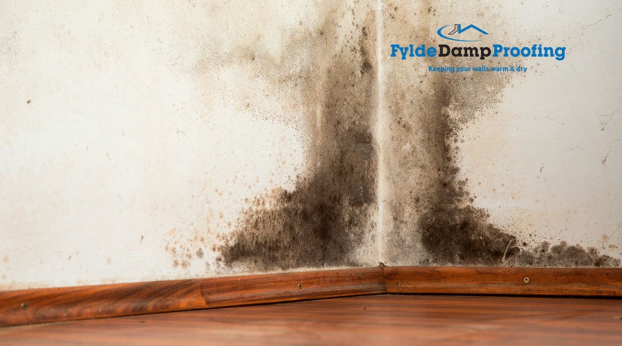 Condensation In Your Home – How To Deal With The Problems
