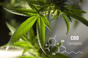 CBD Skincare for Acne