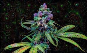Make More Terpenes With This Recipe.