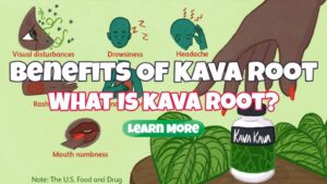 The Benefits of Kava Root – What Is Kava Root?