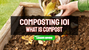 Composting 101 – What is Compost and Types of Composting