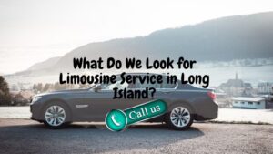Limousine Service in Long Island – What Do We Look For?