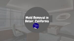 Asbestos Removal in Belair, California: A Comprehensive Examination