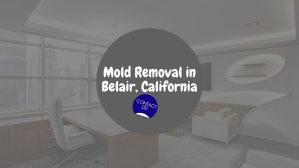 Asbestos Removal in Belair, California: A Comprehensive Examination