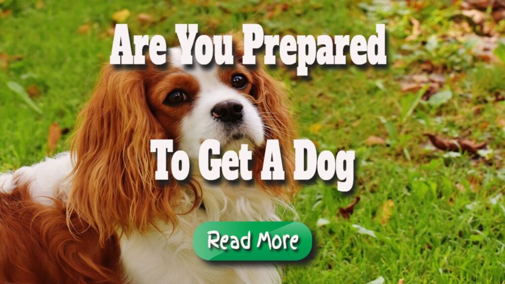 are you prepared to get a dog