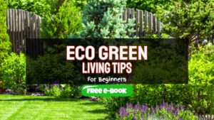 Eco Green Living Tips for Beginners – Cut Down Energy Consumption