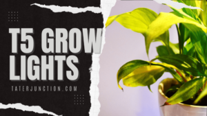 T5 Grow Lights – Giving Seedlings The Best Start Possible