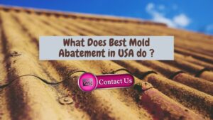 What Does Best Mold Abatement do in Encino, California?