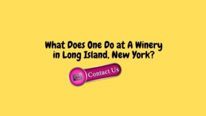 What Does One Do at A Winery in Long Island, New York?