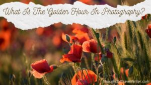 What Is So Special About Golden Hour Photography?