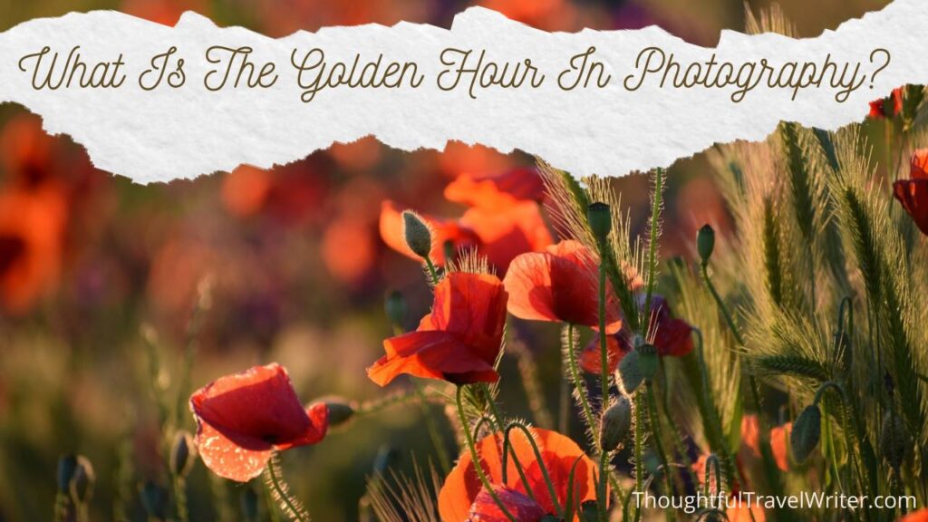 What Is So Special About Golden Hour Photography?
