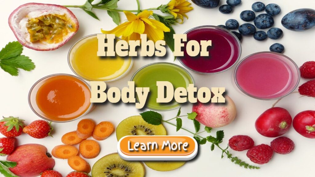 Herbs for Body Detox