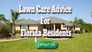 Lawn Care Advice for Florida Residents