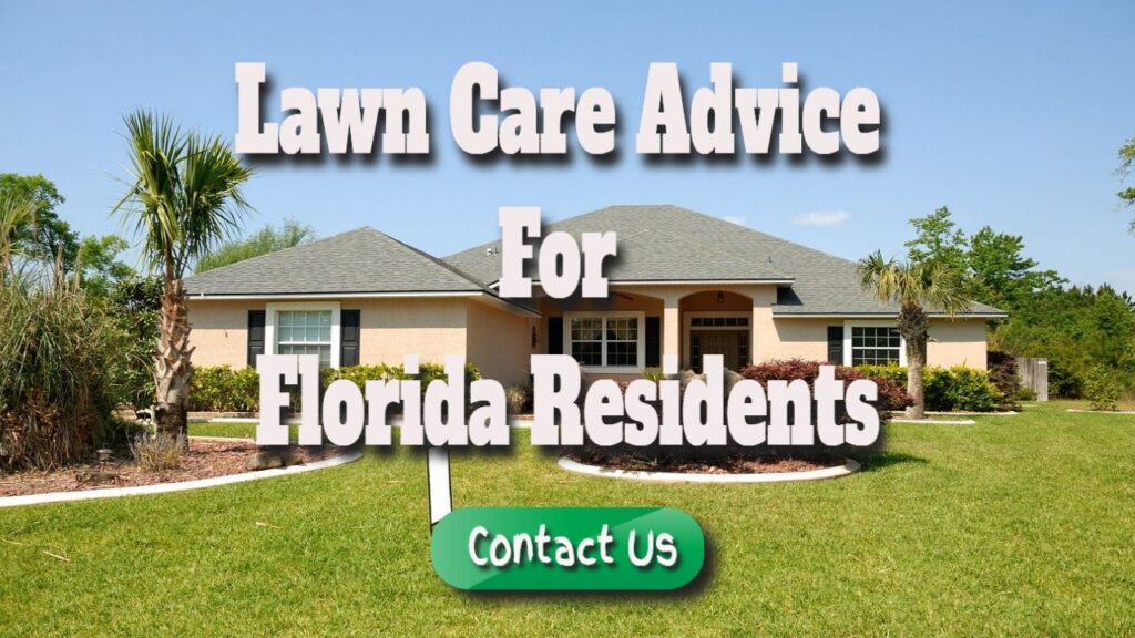 lawn care advice for florida residents