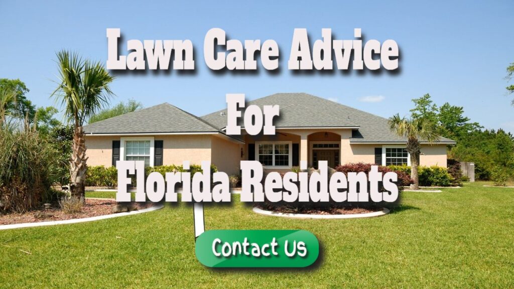 Lawn Care Advice for Florida Residents