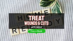 How To Treat Wounds And Cuts With Herbs