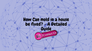 How Can Mould In A House Be Fixed? – A Detailed Guide