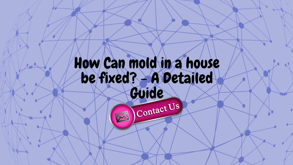 How Can Mould In A House Be Fixed? – A Detailed Guide
