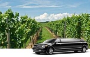 Can We Enjoy Long Island Wine Tours by Going to Local Vineyards?