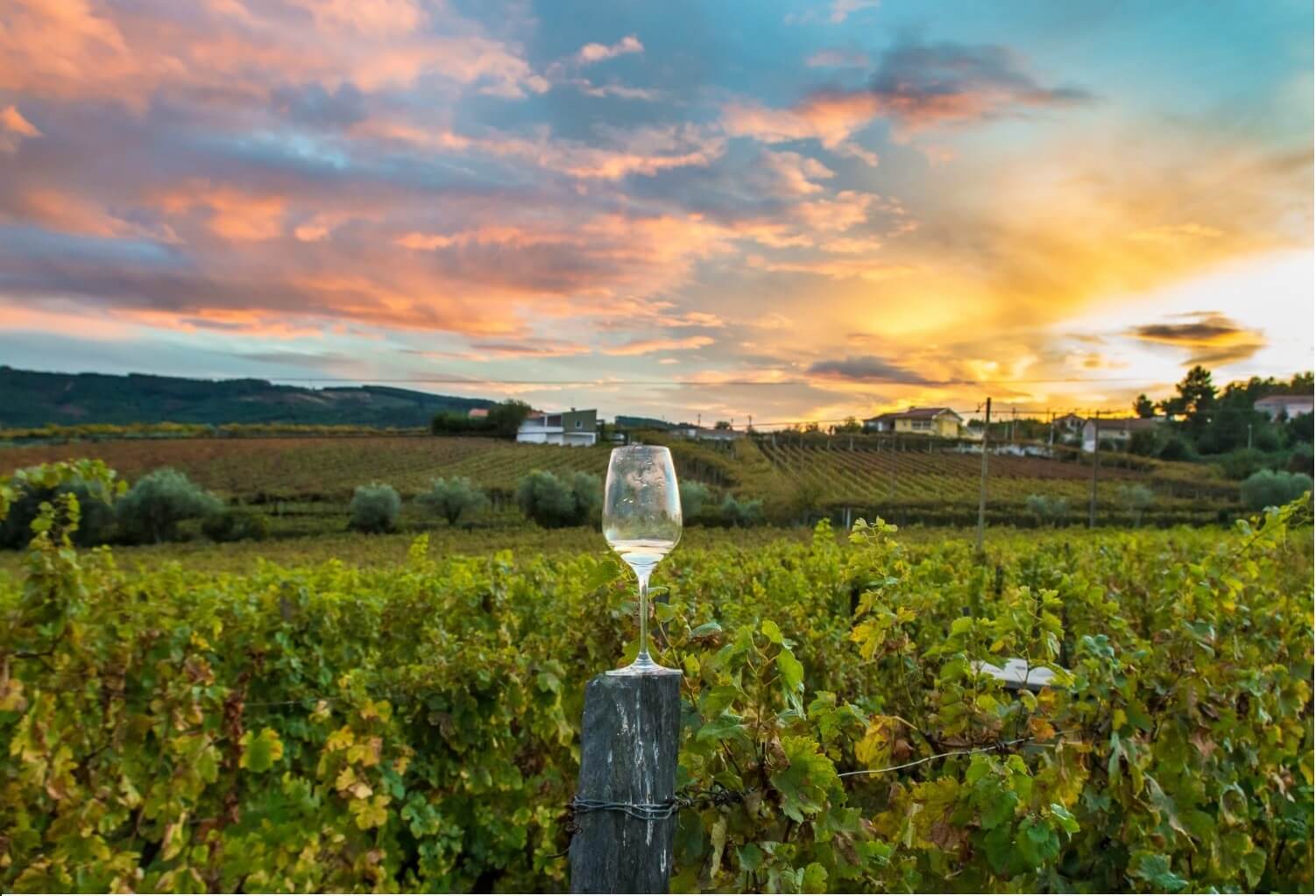 New York Wine Tours