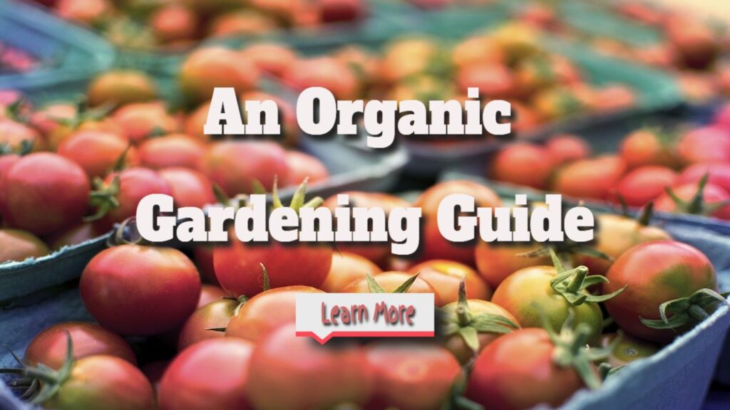 How to Garden Naturally: An Organic Gardening Guide