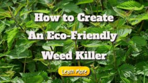 How to Create an Eco-Friendly Weed Killer