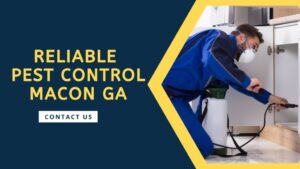 5 Key Signs You Should Call Pest Control Macon GA Services