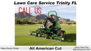Maintaining Your Lawn On A Budget In Trinity FL