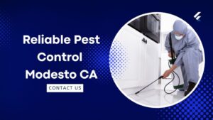 Family Friendly Pest Control Modesto CA Keeping Your Home Safe