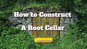 How to Construct a Root Cellar