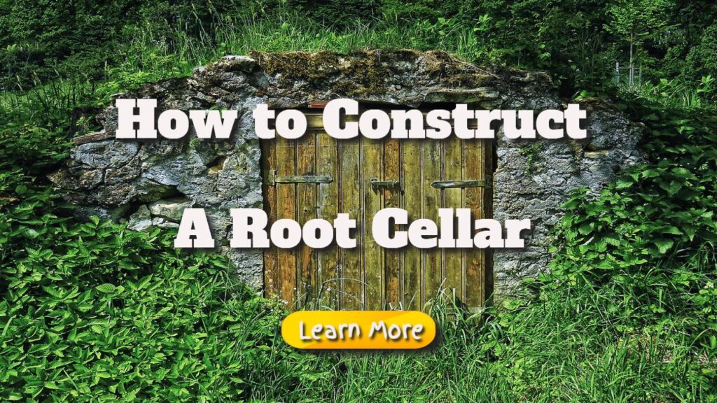 How to Construct a Root Cellar