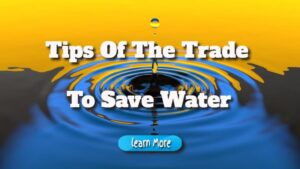 Tips Of The Trade To Save Water