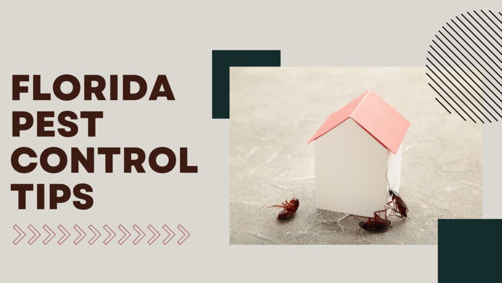 Pest Control Tips For Florida Homes and Apartments