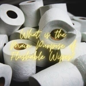 What is the Main Purpose of Flushable Wipes?