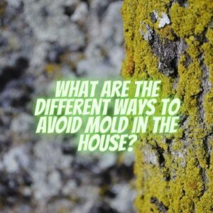 What Are the Different Ways to Avoid Mould in the House?
