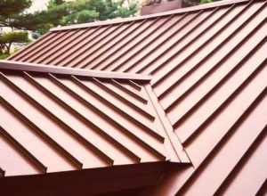 Environmentally Friendly Roofing Options