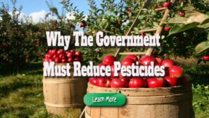 Why the Government Must Reduce Pesticides