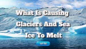 What Is Causing Glaciers And Sea Ice To Melt
