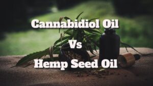 Cannabidiol Oil Vs Hemp Seed Oil: What Makes One Better