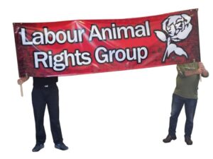 How Well Designed Protest Signs Can Aid Your Campaign