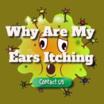 Why Are My Ears Itching
